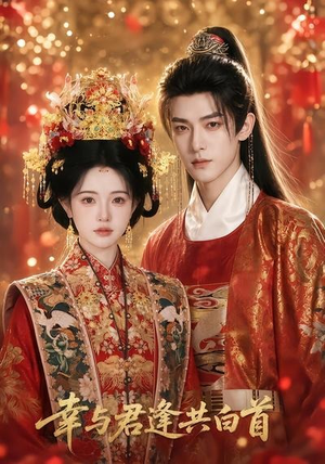 幸与君逢共白首(79集) 幸与君逢共白首(79集)短剧全集抢先看