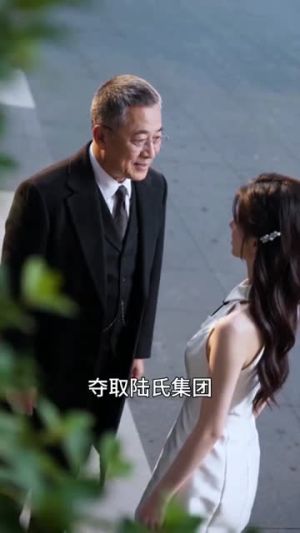 霸总的天降娇妻超飒绝(15集) 霸总的天降娇妻超飒绝(15集)全剧看到大结局