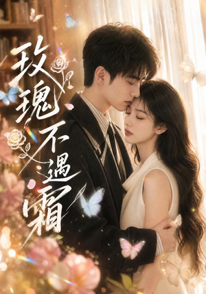 玫瑰不遇霜(42集) 玫瑰不遇霜(42集)最后的大结局