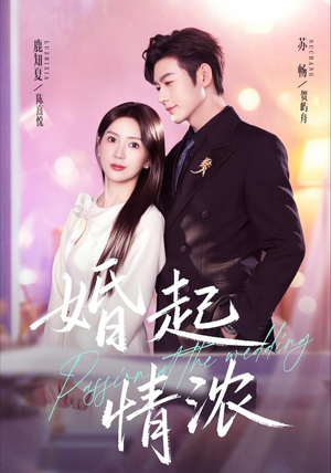 婚起情浓(99集) 婚起情浓(99集)最后的大结局