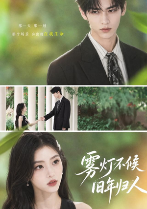 雾灯不候旧年归人（50集）在线看