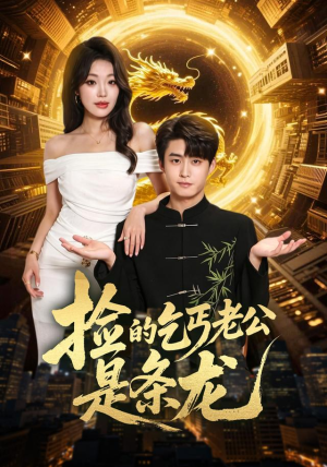 捡的乞丐老公是条龙(88集) 捡的乞丐老公是条龙(88集)悬疑短剧推荐