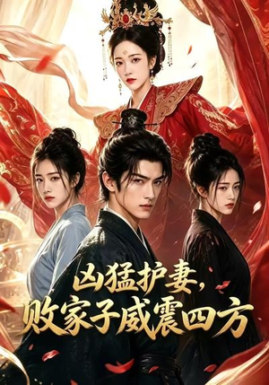 凶猛护妻，败家子威震四方（85集）精彩短剧随心推