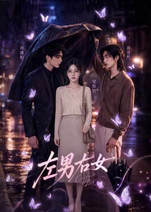 左男右女（63集）短剧全集完整