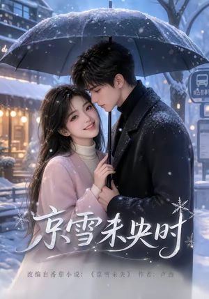 京雪未央时(100集) 京雪未央时(100集)全集完整版