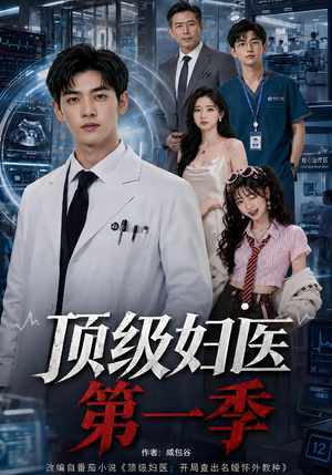顶级妇医第一季(63集) 顶级妇医第一季(63集)解说