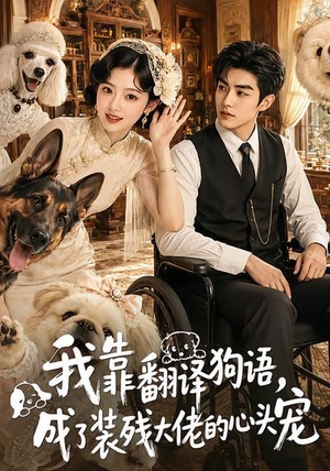 我靠翻译狗语，成了装残大佬的心尖宠（80集）短剧全集大结局