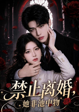 禁止离婚,她非池中物(144集) 禁止离婚,她非池中物(144集)精彩热门短剧