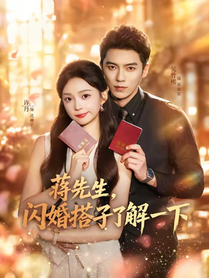 蒋先生，闪婚搭子了解一下（74集）热门短剧推广