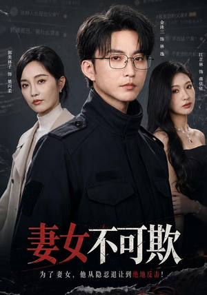 妻女不可欺(61集) 妻女不可欺(61集)短剧分享剧集