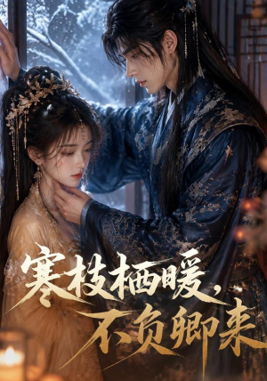 寒枝栖暖，不负卿来（50集）精彩短剧抢先看