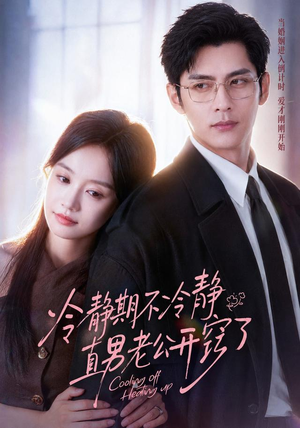 冷静期不冷静，直男老公开窍了（73集）短剧介绍