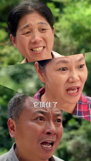 牛来运转之捡个牛王当儿子（47集）百度网盘资源