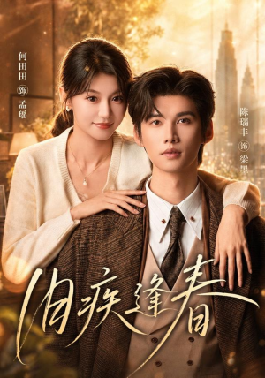旧疾逢春（67集）短剧小说在线看