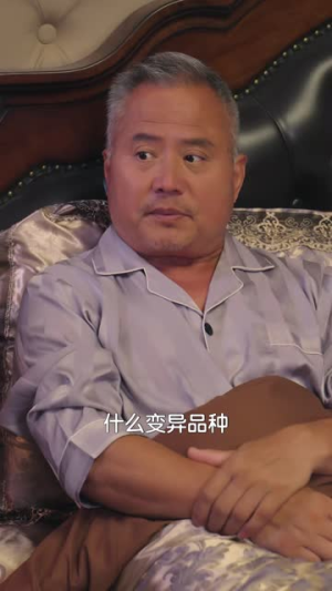 你是我的阳光玫瑰（60集）在线看完整版