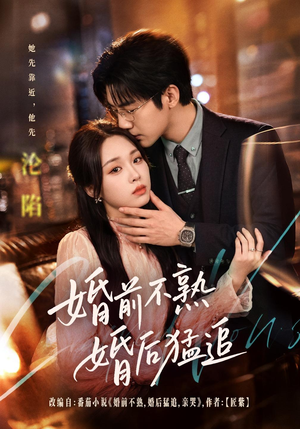 婚前不熟婚后猛追(60集) 婚前不熟婚后猛追(60集)一共多少集