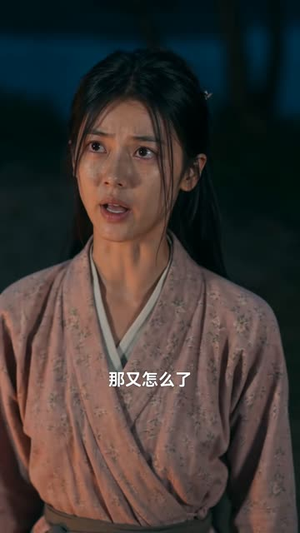 暗卫回村（83集）全季一次看完