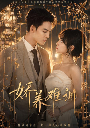 娇养难训（43集）全集完整版