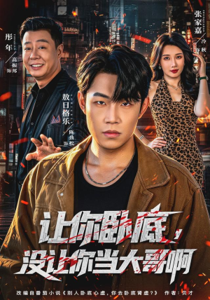 让你卧底,没让你当大哥啊(80 集) 让你卧底,没让你当大哥啊(80 集)短剧太精彩了