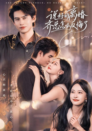 说好的离婚齐总怎么反悔了(40 集) 说好的离婚齐总怎么反悔了(40 集)短剧全集免费看