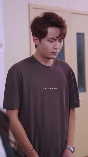 不婚主义（47 集）短剧小说在线看