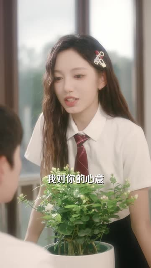 假千金退婚，孟总他追疯了（40 集）在哪里看